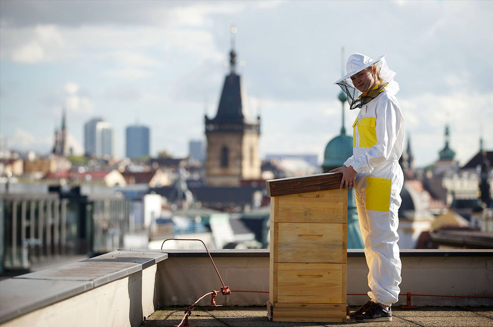 Včelařka u úlu na pražské střeše s panoramatem města — projekt citybees
